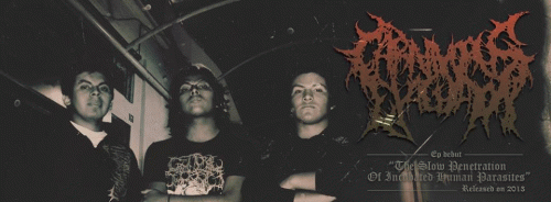 Carnivorous Eyaculation : The Slow Penetration Of Incubated Human Parasites